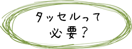 カーテンレールコンテンツ：今あるレールにプラスアルファー：タッセルって必要？