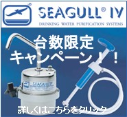 �䐔�������ȃL�����y�[�����